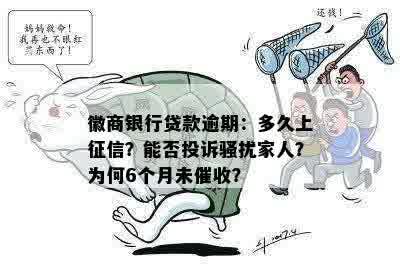 徽商银行贷款逾期：多久上征信？能否投诉骚扰家人？为何6个月未催收？