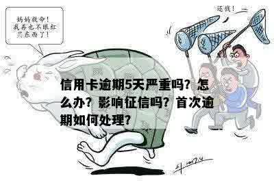 信用卡逾期5天严重吗？怎么办？影响征信吗？首次逾期如何处理？