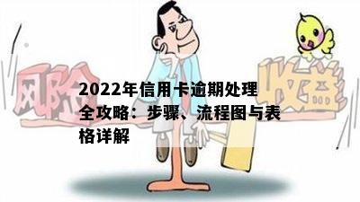 2022年信用卡逾期处理全攻略：步骤、流程图与表格详解