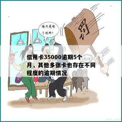 信用卡35000逾期5个月，其他多张卡也存在不同程度的逾期情况