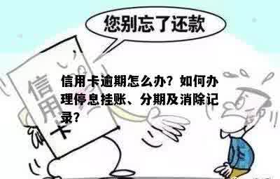 信用卡逾期怎么办？如何办理停息挂账、分期及消除记录？