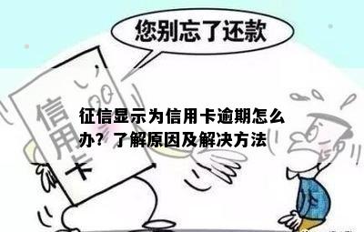 征信显示为信用卡逾期怎么办？了解原因及解决方法