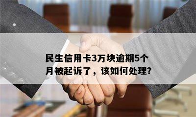 民生信用卡3万块逾期5个月被起诉了，该如何处理？