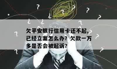 欠平安银行信用卡还不起,已经立案怎么办？欠款一万多是否会被起诉？