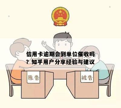 信用卡逾期会到单位催收吗？知乎用户分享经验与建议