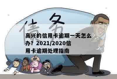 高兴的信用卡逾期一天怎么办？2021/2020信用卡逾期处理指南