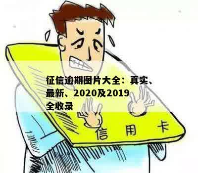 征信逾期图片大全：真实、最新、2020及2019全收录