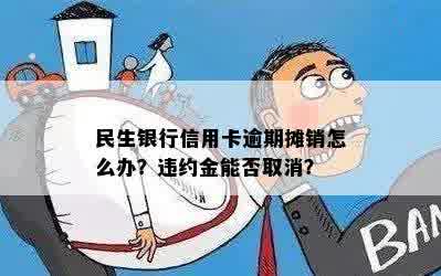 民生银行信用卡逾期摊销怎么办？违约金能否取消？