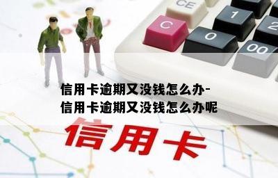 信用卡逾期又没钱怎么办-信用卡逾期又没钱怎么办呢