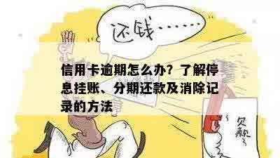 信用卡逾期怎么办？了解停息挂账、分期还款及消除记录的方法