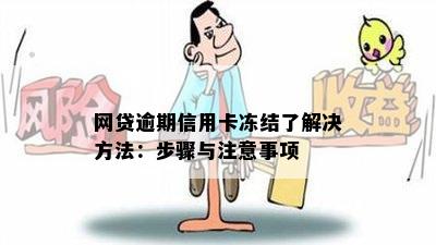 网贷逾期信用卡冻结了解决方法：步骤与注意事项