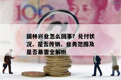 国林兴业怎么回事？兑付状况、是否传销、业务范围及是否暴雷全解析