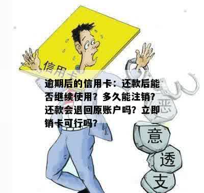 逾期后的信用卡：还款后能否继续使用？多久能注销？还款会退回原账户吗？立即销卡可行吗？