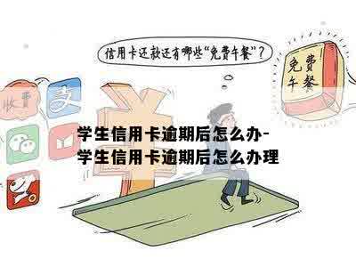 学生信用卡逾期后怎么办-学生信用卡逾期后怎么办理