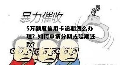 5万额度信用卡逾期怎么办理？如何申请分期或延期还款？