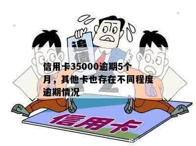 信用卡35000逾期5个月，其他卡也存在不同程度逾期情况