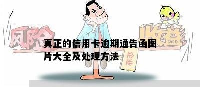 真正的信用卡逾期通告函图片大全及处理方法