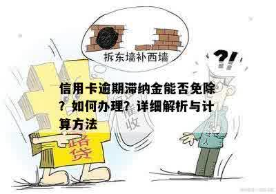 信用卡逾期滞纳金能否免除？如何办理？详细解析与计算方法