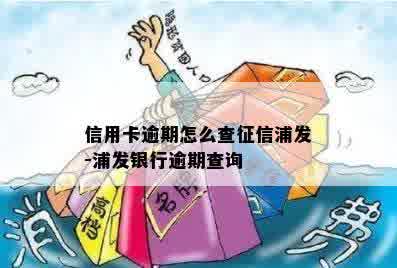 信用卡逾期怎么查征信浦发-浦发银行逾期查询