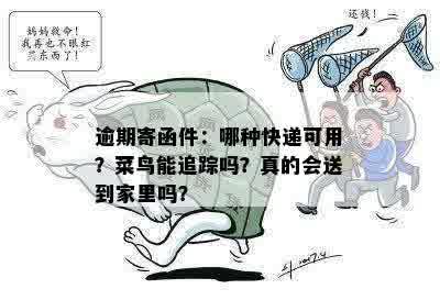 逾期寄函件：哪种快递可用？菜鸟能追踪吗？真的会送到家里吗？