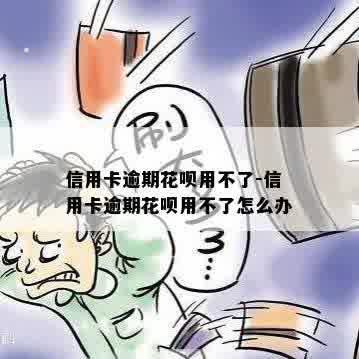 信用卡逾期花呗用不了-信用卡逾期花呗用不了怎么办