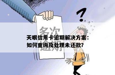 天眼信用卡逾期解决方案：如何查询及处理未还款？