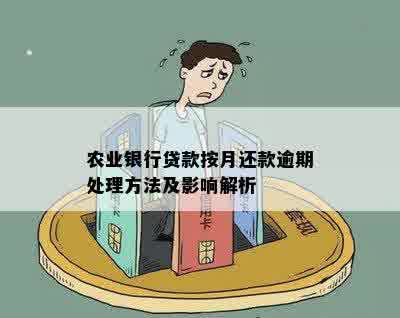 农业银行贷款按月还款逾期处理方法及影响解析