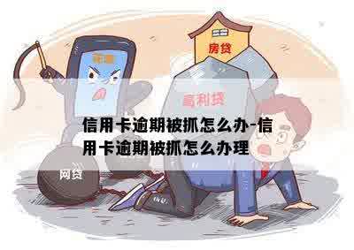 信用卡逾期被抓怎么办-信用卡逾期被抓怎么办理