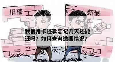 我信用卡还款忘记几天还能还吗？如何查询逾期情况？