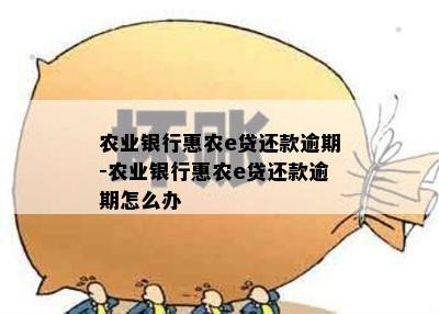 农业银行惠农e贷还款逾期-农业银行惠农e贷还款逾期怎么办