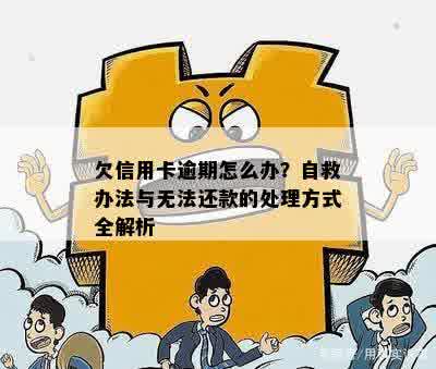 欠信用卡逾期怎么办？自救办法与无法还款的处理方式全解析