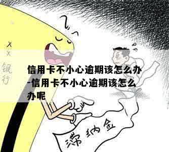 信用卡不小心逾期该怎么办-信用卡不小心逾期该怎么办呢