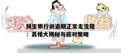 民生银行说逾期正常走流程：真相大揭秘与应对策略