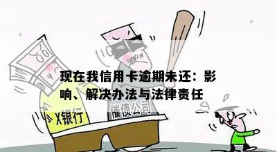 现在我信用卡逾期未还：影响、解决办法与法律责任