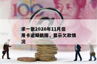 求一张2020年11月信用卡逾期截图，显示欠款情况