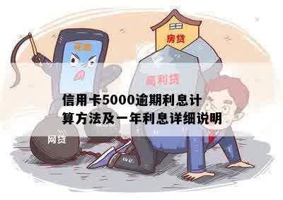 信用卡5000逾期利息计算方法及一年利息详细说明