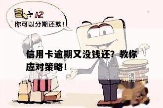 信用卡逾期又没钱还？教你应对策略！