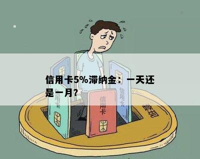 信用卡5%滞纳金：一天还是一月？