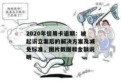 2020年信用卡逾期：被起诉立案后的解决方案及减免标准，图片截图和金额说明