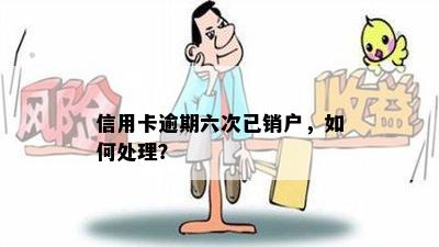 信用卡逾期六次已销户，如何处理？