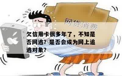 欠信用卡很多年了，不知是否网逃？是否会成为网上追逃对象？