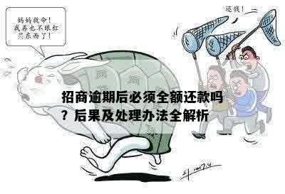 招商逾期后必须全额还款吗？后果及处理办法全解析