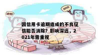 因信用卡逾期造成的不良征信能否消除？影响深远，2021年需重视