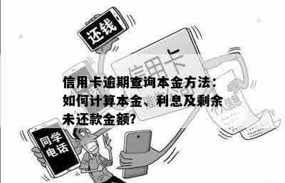 信用卡逾期查询本金方法：如何计算本金、利息及剩余未还款金额？