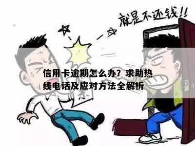 信用卡逾期怎么办？求助热线电话及应对方法全解析