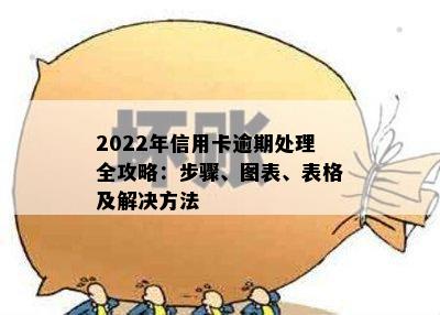 2022年信用卡逾期处理全攻略：步骤、图表、表格及解决方法