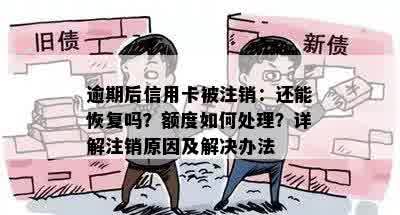 逾期后信用卡被注销：还能恢复吗？额度如何处理？详解注销原因及解决办法