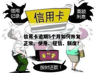 信用卡逾期5个月如何恢复正常、使用、征信、额度？