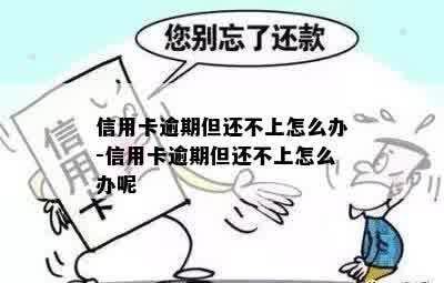 信用卡逾期但还不上怎么办-信用卡逾期但还不上怎么办呢