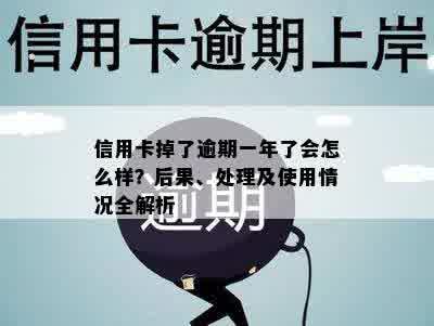 信用卡掉了逾期一年了会怎么样？后果、处理及使用情况全解析